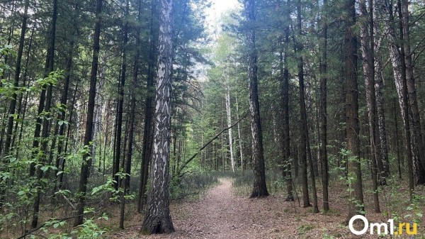 В новосибирском дендропарке планируют сделать охраняемый вход