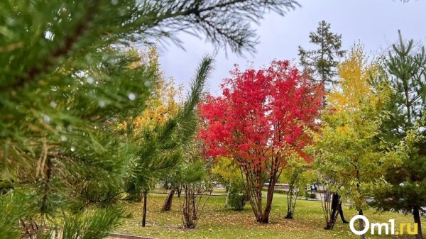 Непогода в Омской области будет бушевать два дня