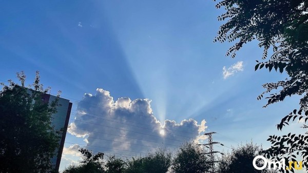 Рабочая неделя в Омске начнётся с тридцатиградусной жары Рабочая неделя в Омске начнётся с тридцатиградусной жары