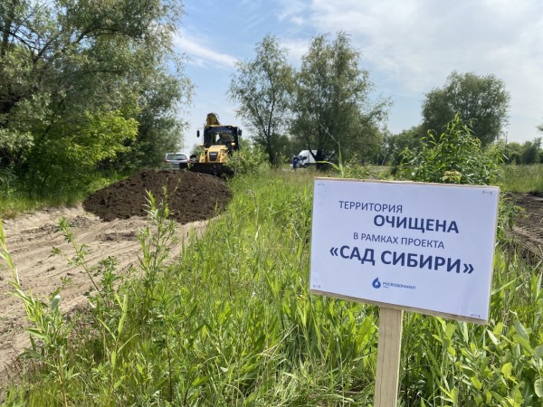 
									Волонтеры из Омска покажут «Сад Сибири» на федеральном уровне 