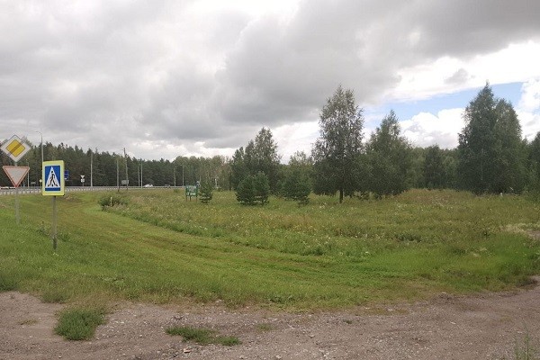 
									Чиновники Омской области отдали сельскохозяйственные земли под строительство заправки 