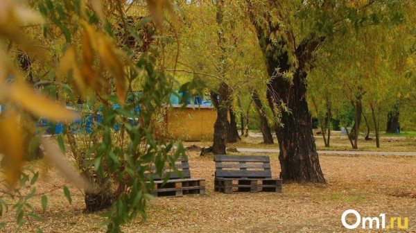 Репетиция осени: с 10 августа в Омскую область придёт похолодание