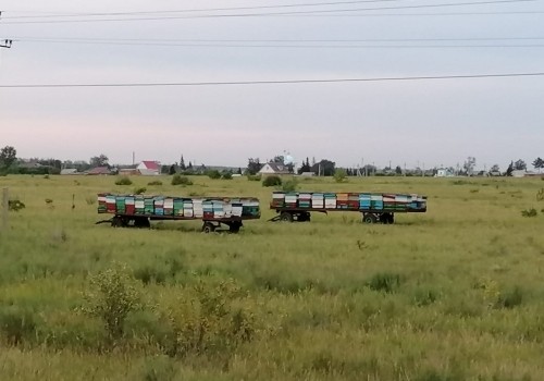 Администрация Калачинска оперативно отреагировала на статью БК55 про бизнес-халяву Администрация Калачинска оперативно отреагировала на статью БК55 про бизнес-халяву