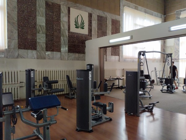 
									Летний отдых под Омском: хвойный лес, река, комфорт и белочки 