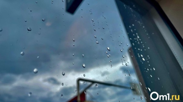 Вильфанд предупредил о сильных дождях и похолодании в Новосибирской области