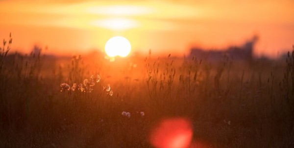 "Благоприятные моменты мы создаём себе сами". Как не сожалеть об упущенном лете