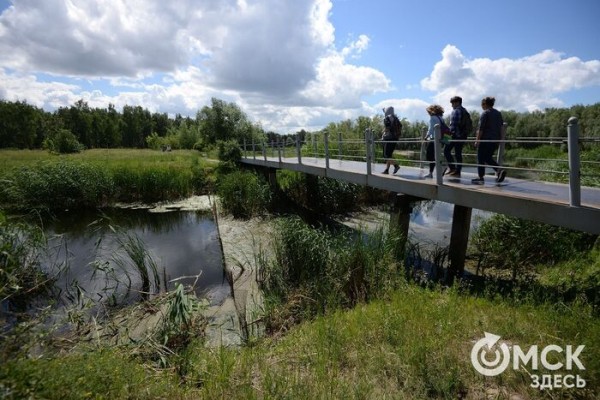 "Благоприятные моменты мы создаём себе сами". Как не сожалеть об упущенном лете