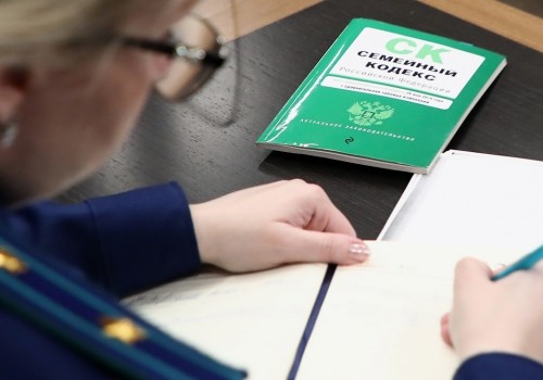 Степкина оправдывается по ситуации с омской девочкой, отданной цыганам на Алтай