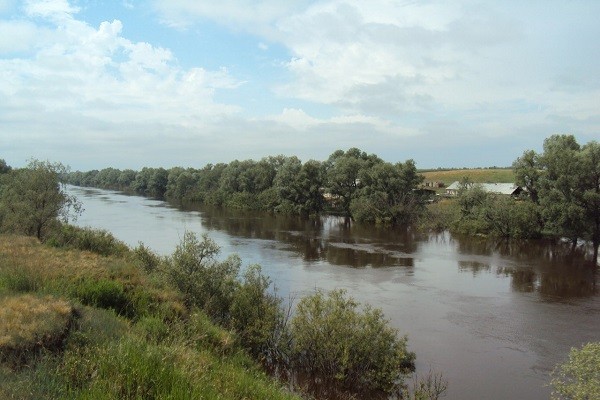 
									За лето в Омской области утонули 27 купающихся и 5 рыбаков 