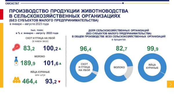 
									Омские куры стали нести меньше яиц 