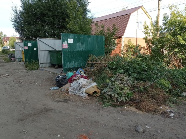 
									В Омске начали сносить мусорные площадки: с чем это связано? 