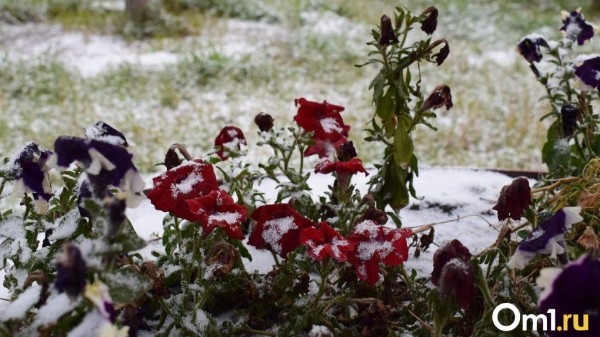 Октябрь начнётся в Омске с морозов до -5