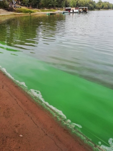 Иртыш в Омске окрасился в ярко-зелёный цвет