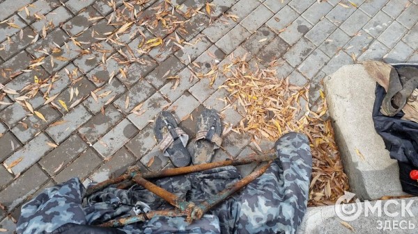 Лампа Аладдина, матрас туриста и череп собаки. Участники "Чистых игр" провели раскопки в парках Омска Лампа Аладдина, матрас туриста и череп собаки. Участники "Чистых игр" провели раскопки в парках Омска