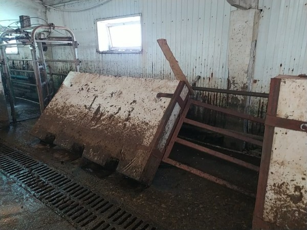 Гострудинспекция не нашла виновных в гибели рабочего, которого придавило на омском молзаводе
Гострудинспекция не нашла виновных в гибели рабочего, которого придавило на омском молзаводе