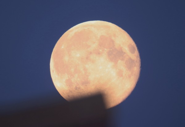 
									Сегодня омичи смогут наблюдать суперлуние 