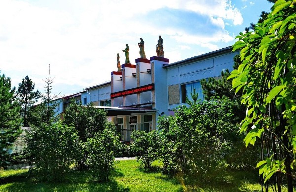 Эксперты рассказали, почему омские санатории ломят «космические» цены
Эксперты рассказали, почему омские санатории ломят «космические» цены