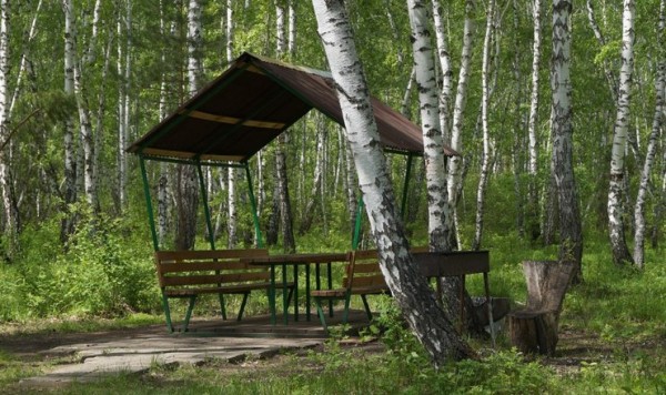 Эксперты рассказали, почему омские санатории ломят «космические» цены
Эксперты рассказали, почему омские санатории ломят «космические» цены