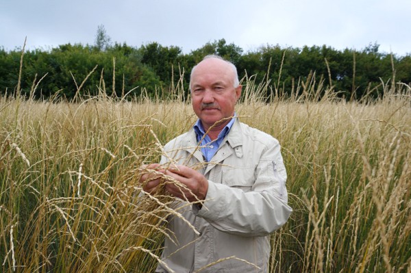 Профессора ОмГАУ наградили за выведение сорта фиолетовозерной пшеницы  
									Профессора ОмГАУ наградили за выведение сорта фиолетовозерной пшеницы