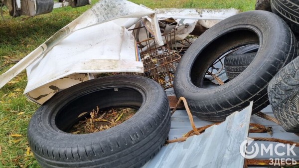 Лампа Аладдина, матрас туриста и череп собаки. Участники "Чистых игр" провели раскопки в парках Омска Лампа Аладдина, матрас туриста и череп собаки. Участники "Чистых игр" провели раскопки в парках Омска