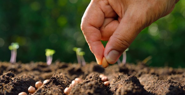 РСХБ выяснил отношение граждан России к сельскому хозяйству
РСХБ выяснил отношение граждан России к сельскому хозяйству