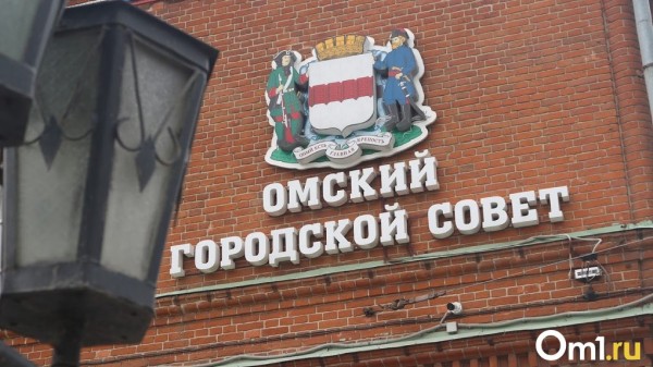Горсовет утвердил новую структуру омской мэрии