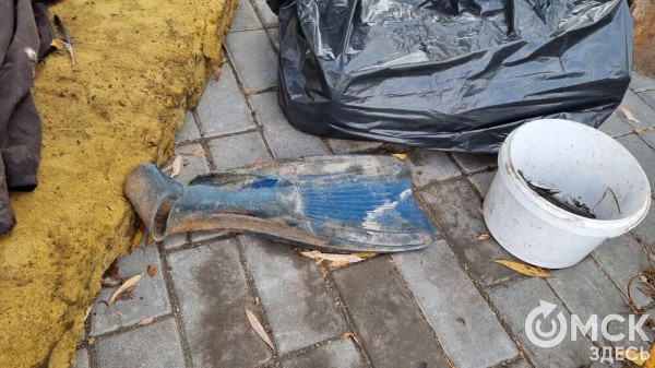 Лампа Аладдина, матрас туриста и череп собаки. Участники "Чистых игр" провели раскопки в парках Омска Лампа Аладдина, матрас туриста и череп собаки. Участники "Чистых игр" провели раскопки в парках Омска