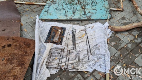 Лампа Аладдина, матрас туриста и череп собаки. Участники "Чистых игр" провели раскопки в парках Омска Лампа Аладдина, матрас туриста и череп собаки. Участники "Чистых игр" провели раскопки в парках Омска