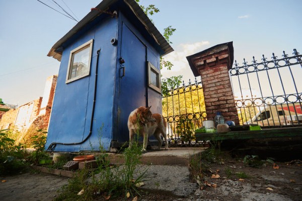 Тру стори: как старый завод или заброшка могут вызвать вау-эффект Тру стори: как старый завод или заброшка могут вызвать вау-эффект