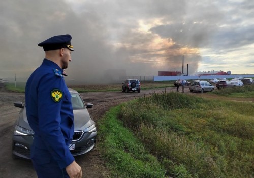 При пожаре на свиноферме под Омском погибло около 4 тысяч животных