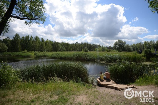 Хватает ли нам лесов и сколько проживёт бутылка? Задаём глупые вопросы об экологии первой "зелёной" нейросети