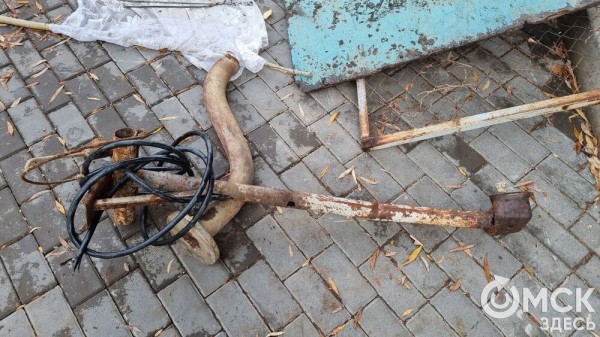 Лампа Аладдина, матрас туриста и череп собаки. Участники "Чистых игр" провели раскопки в парках Омска Лампа Аладдина, матрас туриста и череп собаки. Участники "Чистых игр" провели раскопки в парках Омска