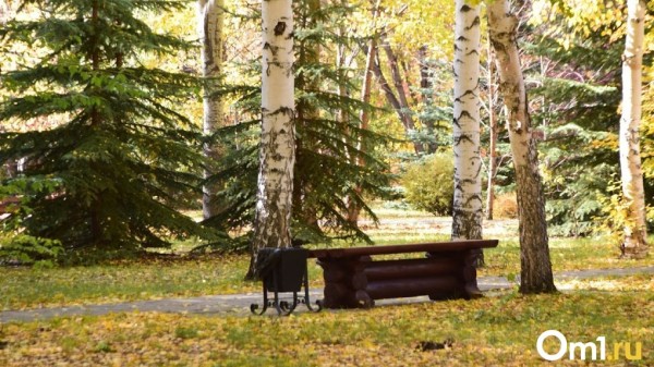 Лето – всё. В Омской области начинается похолодание Лето – всё. В Омской области начинается похолодание