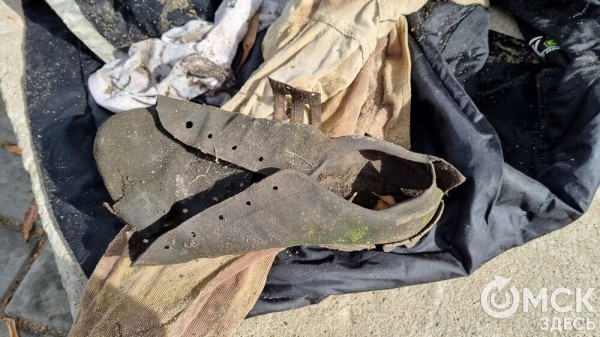 Лампа Аладдина, матрас туриста и череп собаки. Участники "Чистых игр" провели раскопки в парках Омска Лампа Аладдина, матрас туриста и череп собаки. Участники "Чистых игр" провели раскопки в парках Омска