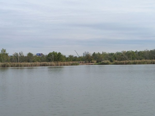 В Омске юные экологи провели уборку территорий у городских озер
В Омске юные экологи провели уборку территорий у городских озер