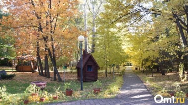 Омичам рассказали, какая погода будет в первые выходные сентября