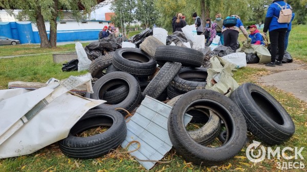 Лампа Аладдина, матрас туриста и череп собаки. Участники "Чистых игр" провели раскопки в парках Омска Лампа Аладдина, матрас туриста и череп собаки. Участники "Чистых игр" провели раскопки в парках Омска