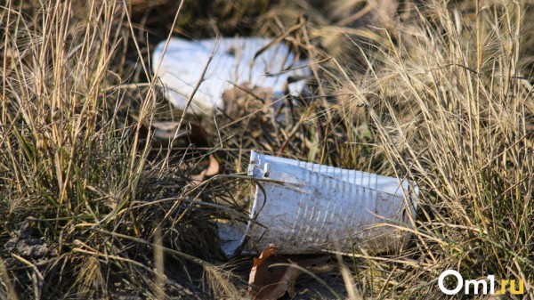 Районы Омской области получат дополнительные 25,8 млн рублей на ликвидацию свалок Районы Омской области получат дополнительные 25,8 млн рублей на ликвидацию свалок