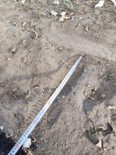 «Долгая дорога в дюнах» по омской улице Попова