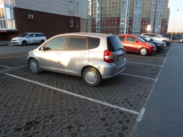 Многие омичи живут в идеальных дворах, но даже не подозревают об этом
Многие омичи живут в идеальных дворах, но даже не подозревают об этом