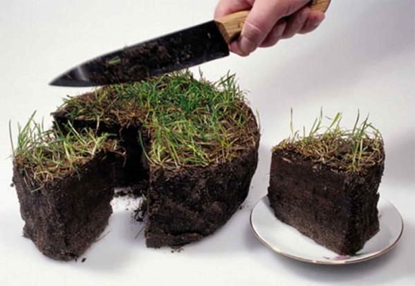 Омская мэрия с начала года продала земли почти на 200 миллионов  
									Омская мэрия с начала года продала земли почти на 200 миллионов