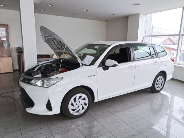 
									«Перекупы под крышей»: стоит ли омичам покупать подержанные авто в салонах?  