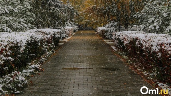 Мокрый снег и гололёд: синоптики рассказали, чего ждать от погоды в Омске на следующей неделе