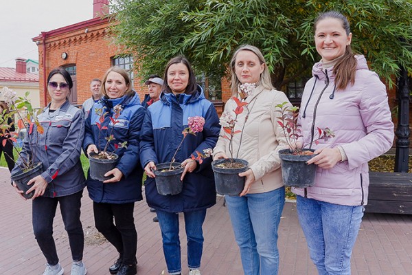 
									В «Омской крепости» формируют зеленую изгородь из сибирской ели 