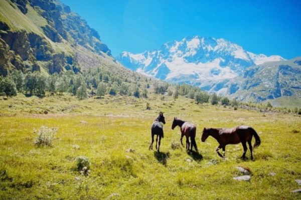 
									Поездом, автобусом, самолетом: куда поехать из Омска этой осенью 