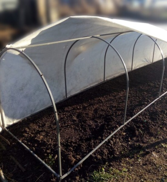 Омские садоводы могут приобрести теплицы и парники выгодно
Омские садоводы могут приобрести теплицы и парники выгодно