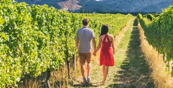 В России набирают популярность туры в формате экскурсий-дегустаций
В России набирают популярность туры в формате экскурсий-дегустаций