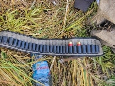 В Омской области двое охотников незаконно застрелили лосиху
В Омской области двое охотников незаконно застрелили лосиху