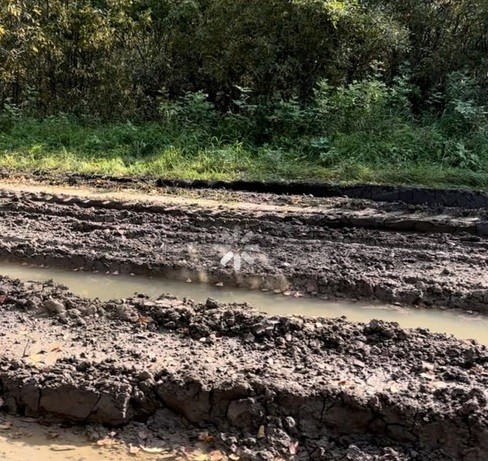 
									Омичи пожаловались на ужасное состояние дороги, по которой ходили каторжники  