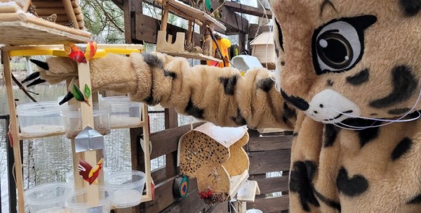 Омскому зоопарку подарили почти 100 мини-домиков Омскому зоопарку подарили почти 100 мини-домиков